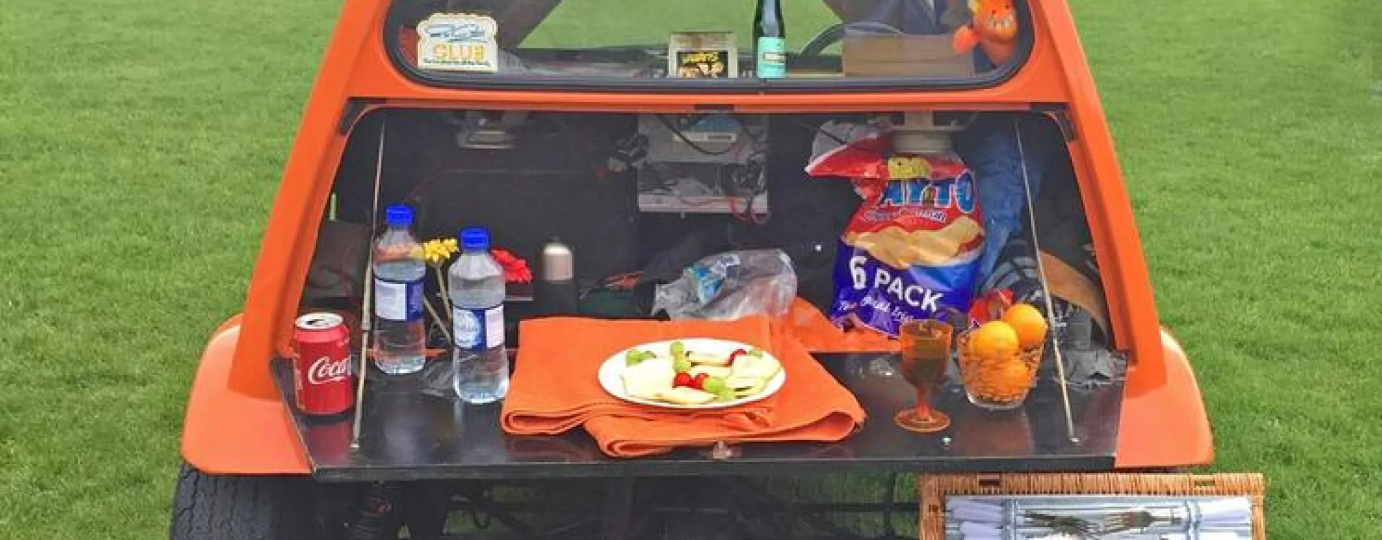 RIAC Picnic in the Park 