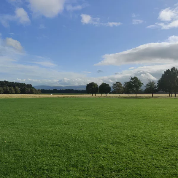 Dublin's Phoenix Park 