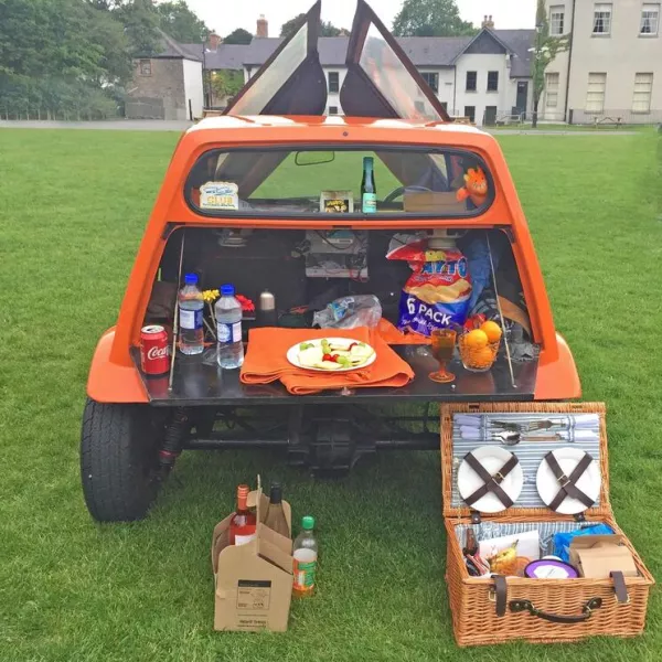 RIAC Picnic in the Park 