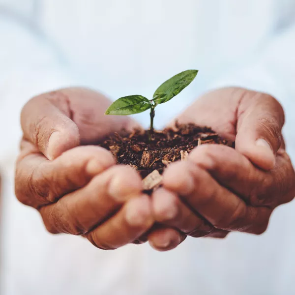 Leave a gift in your Will to LauraLynn 