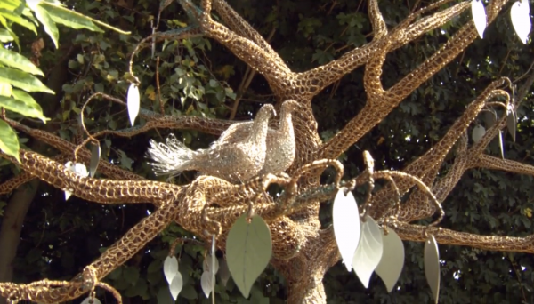 LauraLynn Memorial Tree