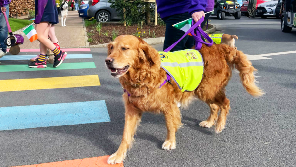 Cathy and Dogs for the Disabled bring smiles and companionship to LauraLynn’s St. Patrick’s Day Parade.