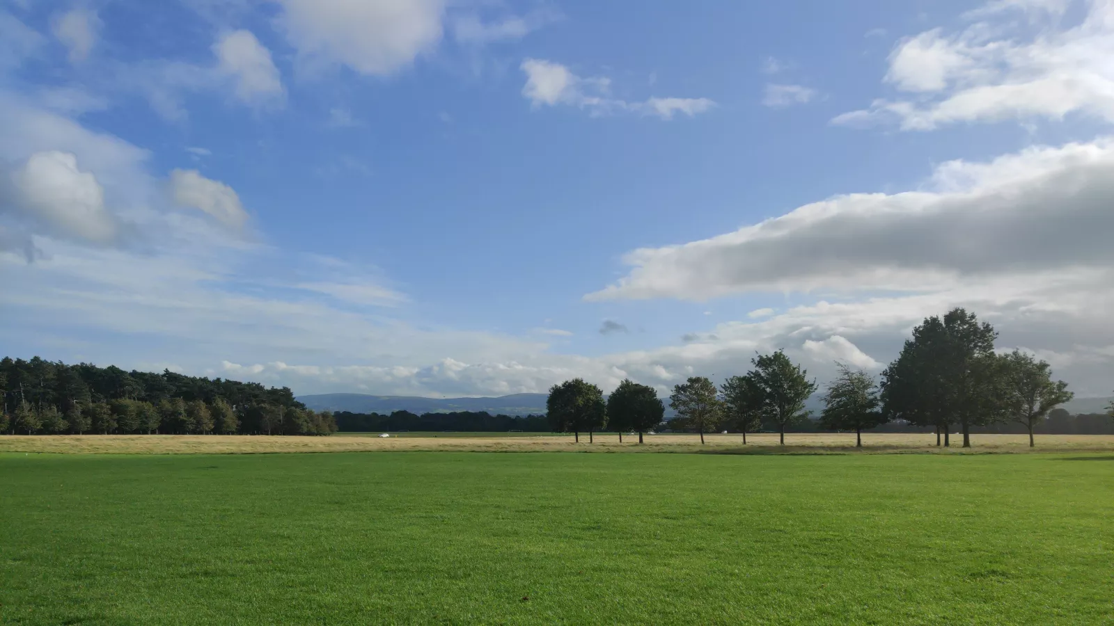 Dublin's Phoenix Park 